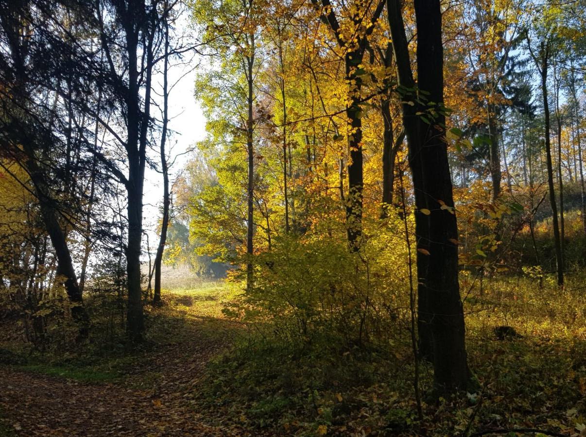 Pokoje Goscinne Art- Dworek Bad Kudowa Exterior foto