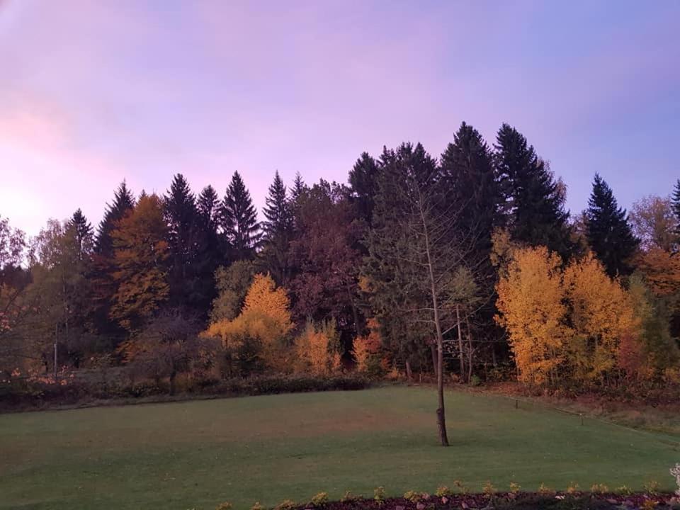 Pokoje Goscinne Art- Dworek Bad Kudowa Exterior foto