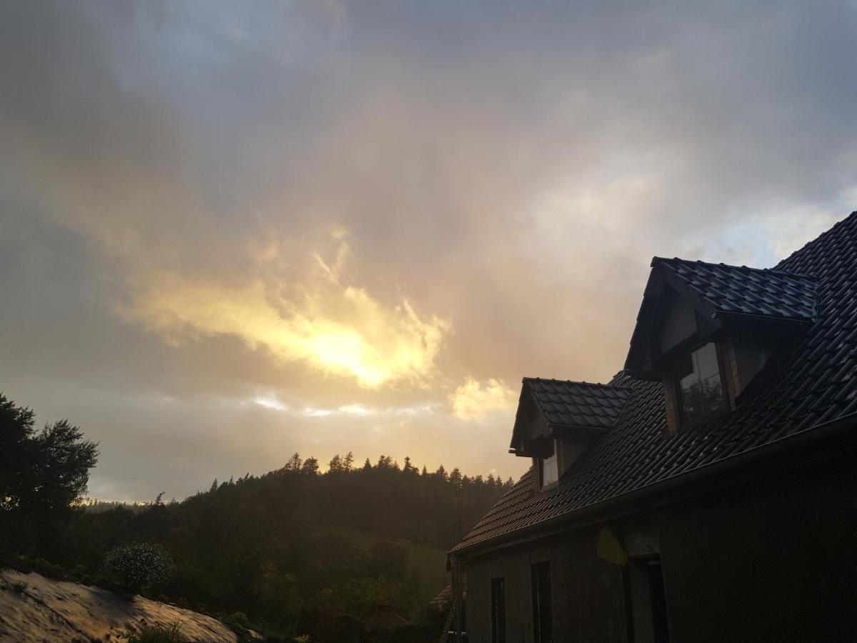 Pokoje Goscinne Art- Dworek Bad Kudowa Exterior foto