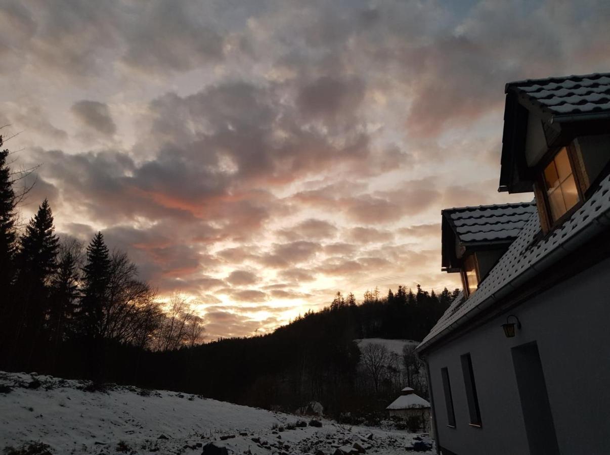 Pokoje Goscinne Art- Dworek Bad Kudowa Exterior foto