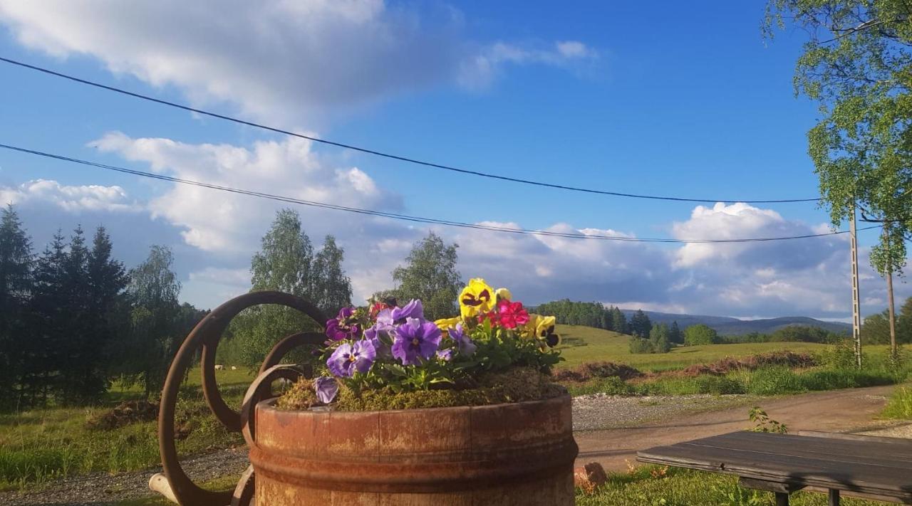 Pokoje Goscinne Art- Dworek Bad Kudowa Exterior foto