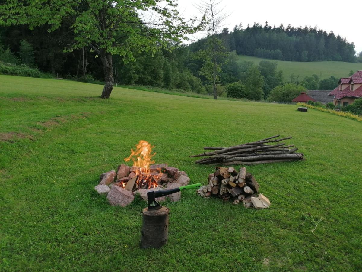Pokoje Goscinne Art- Dworek Bad Kudowa Exterior foto
